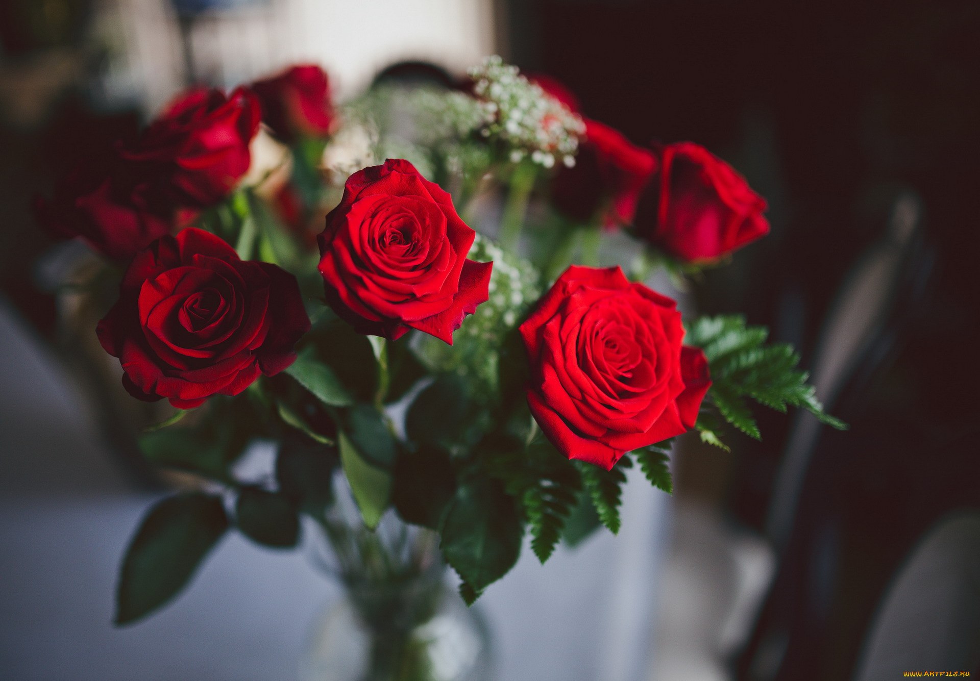 Мелкие красные розы